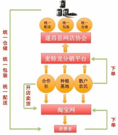 遂昌模式研究 服务驱动型县域电子商务发展模式