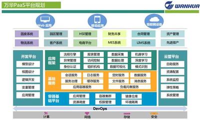 PaaS平台已成为CIO们选择CRM的标配