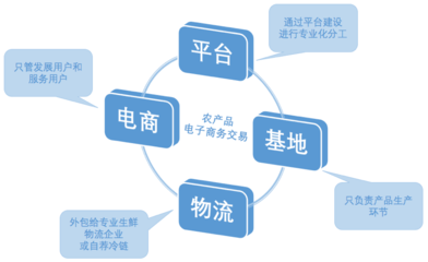 农村电商网站开发制作